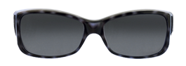 Blog-Lens-Color-Section_Grey